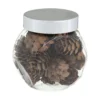ACCESSOIRE BOCAL POMME DE PIN D.3CM X24 PIECES