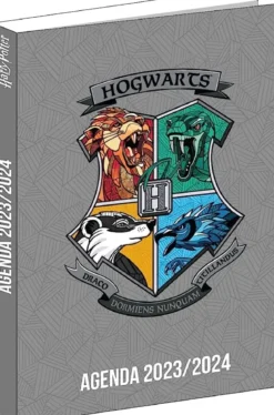 AGENDA HARRY POTTER GRIS 12X17CM