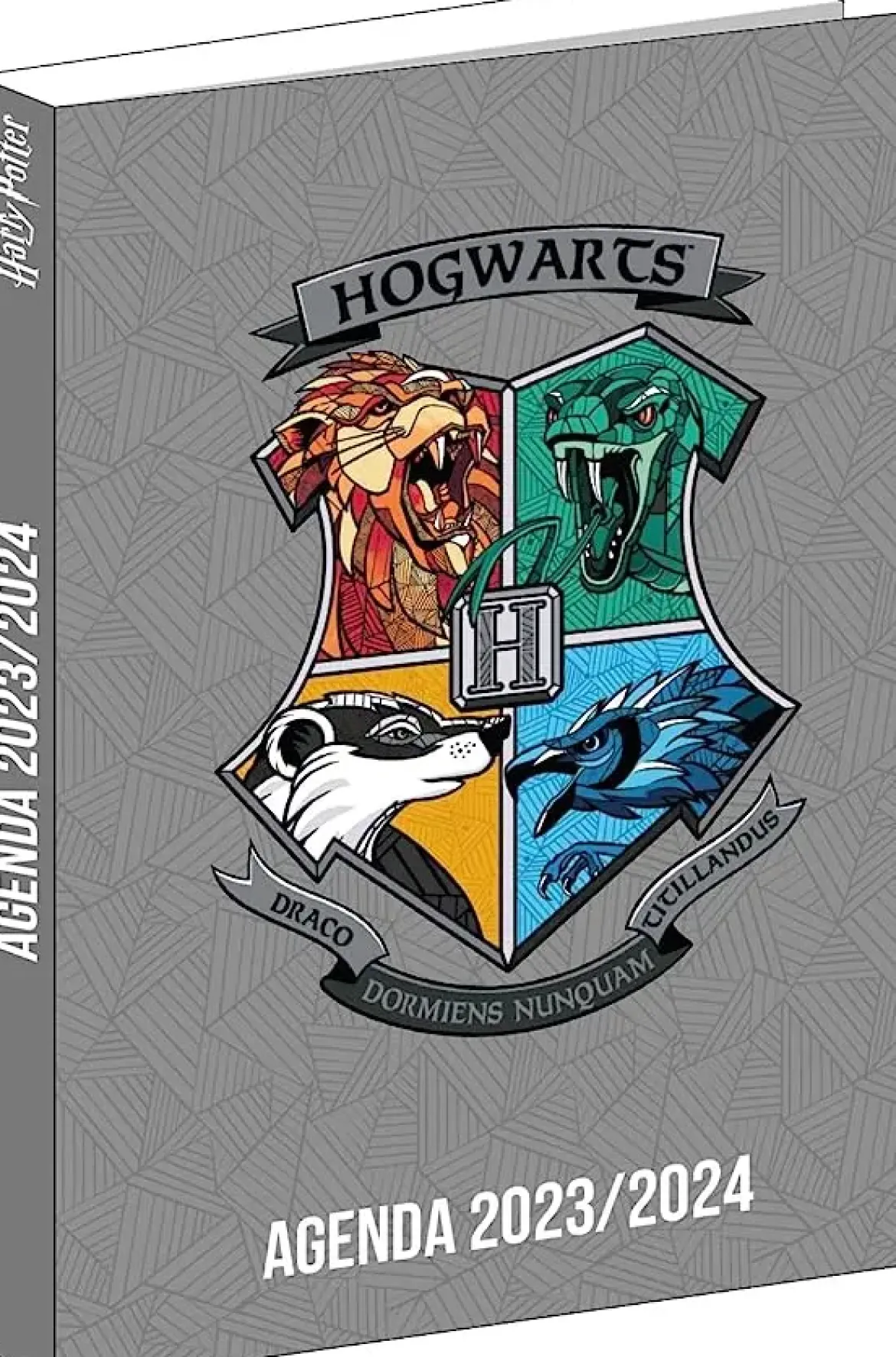 AGENDA HARRY POTTER GRIS 12X17CM