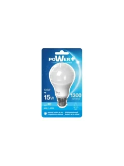 AMPOULE LED B22 15W 100W A60