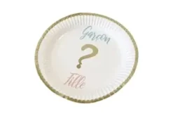 ASSIETTE CARTON GENDER REVEAL 18CM 300G X6 PIECES