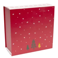 BOITE CADEAU NOEL 25X25X12CM