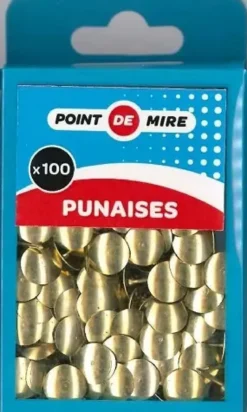 BOITE DE 100 PUNAISES LAITON