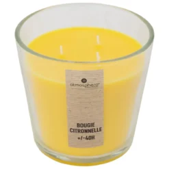 BOUGIE CITRONNELLE POT VERRE NINA 500G