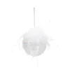 BOULE NOEL VERRE ARC EN CIEL PLUME PAILLETTE