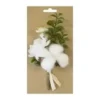 BOUQUET DE COTON CERISIER ET BUIS SUR CARTE BLANC