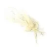BOUQUET DE LAGURUS SECHE SUR CARTE