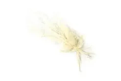 BOUQUET DE LAGURUS SECHE SUR CARTE