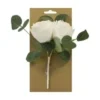 BOUQUET DE ROSES ET TIGE D EUCALYPTUS SUR CARTE BLANC