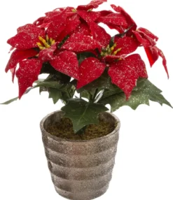 BRANCHE POINSETTIA ROUGE PAILLETTE POT H.22CM