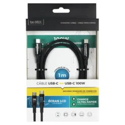CABLE DE CHARGE C TO C WATTMETRE 100W
