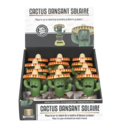CACTUS SOLAIRE DANSANT