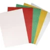 CARTES FORTES A4 PAILLETEES X5 PIECES