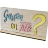 CENTRE DE TABLE GENDER REVEAL EN BOIS SUR SOCLE