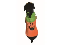 COSTUME CITROUILLE HALLOWEEN ANIMAUX