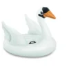 CYGNE A CHEVAUCHER