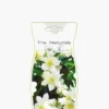 DEO AQUA NATURALS FLOWER DROP JASMIN