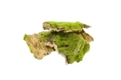 ECORCE ET MOUSSE SYNTHETIQUE 50G