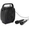 ENCEINTE SANS FIL 8W KARAOKE 2 MICROS INTEGRES