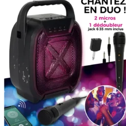 ENCEINTE SANS FIL 8W KARAOKE 2 MICROS INTEGRES