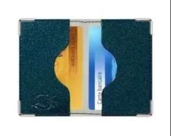 ETUI ANTI-PIRATAGE 2 CB