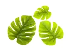 FEUILLE MONSTERA 3 TAILLES X6 PIECES