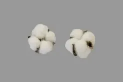 FLEUR DE COTON X6 PIECES