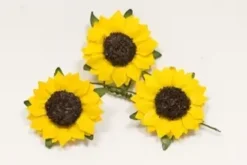 FLEUR DES CHAMPS X12 PIECES JAUNE