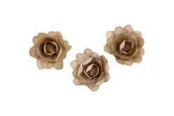 FLEUR PAPIER X12 PIECES NATUREL