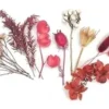 FLEURS SECHEES COLORIS BORDEAUX X10 PIECES