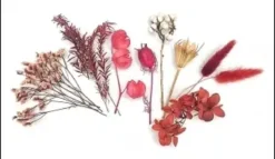 FLEURS SECHEES COLORIS BORDEAUX X10 PIECES