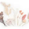 FLEURS SECHEES COLORIS ROSE X10 PIECES