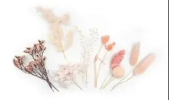FLEURS SECHEES COLORIS ROSE X10 PIECES