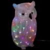 FORME ACRYLIQUE EXTERIEUR HIBOU 60LEDS COULEUR H.47CM
