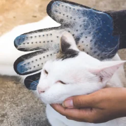 GANT MAGIQUE ANTI POILS ANIMAUX