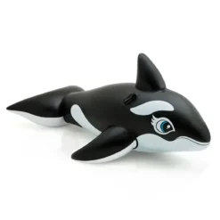 GRANDE BALEINE A CHEVAUCHER