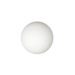 JEU DE PING PONG FANTAISIE CHIEN