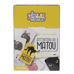JEU DES PAIRES 60 CARTES