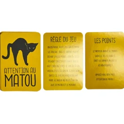 JEU DES PAIRES 60 CARTES