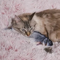 JEU INTERACTIF POISSON POUR ANIMAUX