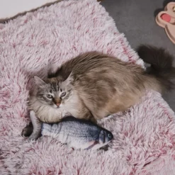 JEU INTERACTIF POISSON POUR ANIMAUX