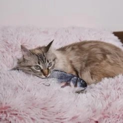 JEU INTERACTIF POISSON POUR ANIMAUX