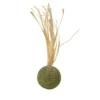 JOUET BALLE HERBE A CHAT ET FEUILLE DE MAIS 3.8X14CM