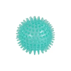JOUET DENTAIRE BALLE PICOTS D.6.5CM BLEU