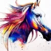 KIT DIAMOND PAINTING CHEVAL 40X50CM