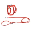 KIT HARNAIS LAISSE CHAT 20 A 28CM 120CM REFLECHISSANT ROUGE