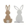 LAPIN ASSIS