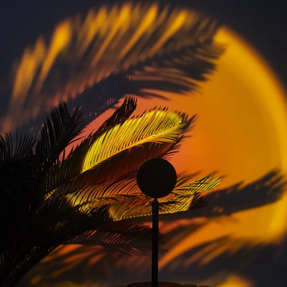 LUMIERE PROJECTEUR LED COUCHER DE SOLEIL