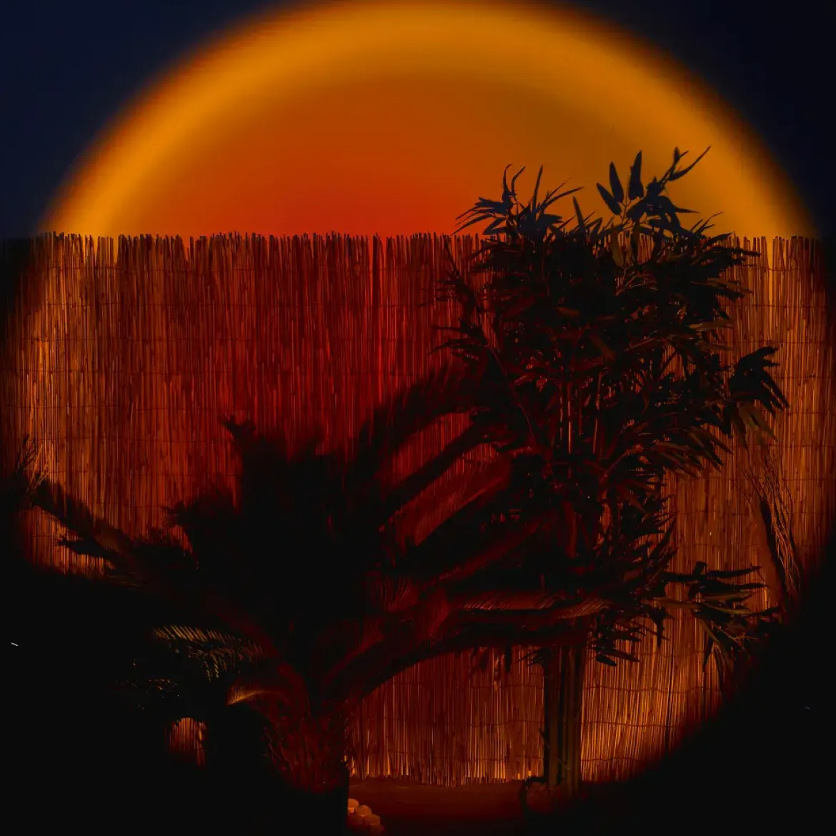 LUMIERE PROJECTEUR LED COUCHER DE SOLEIL