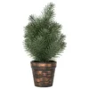 MINI SAPIN H.30CM